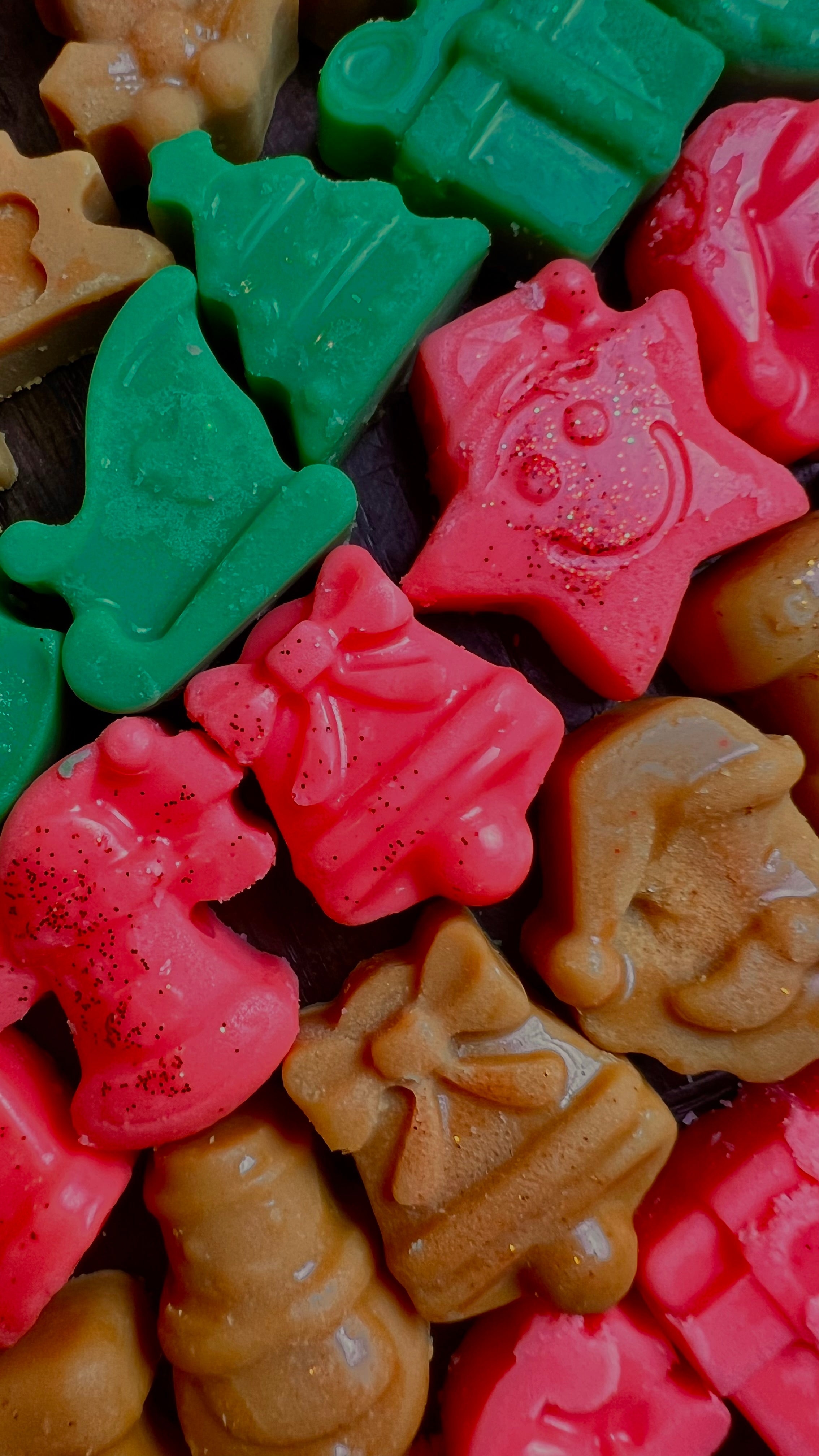 Santa Sampler Wax Melts